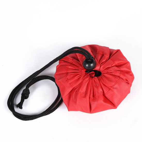 210T Polyester Waterproof Drawstring Backpack Bag
