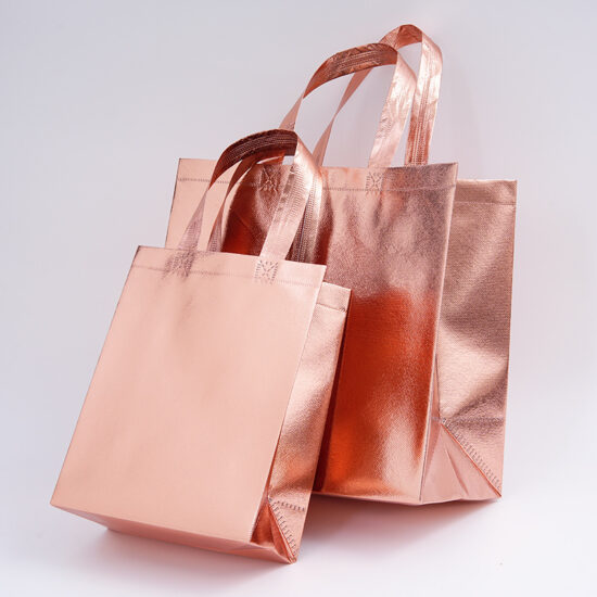 Non-woven plush doll storage bag with drawstring and handles