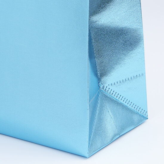 Non-woven plush doll storage bag with drawstring and handles