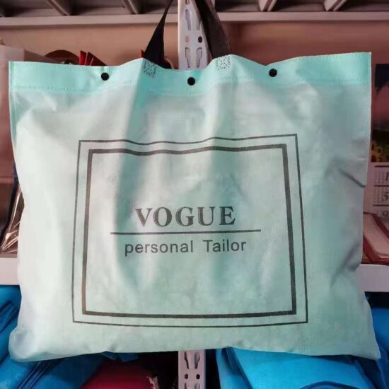 Translucent non-woven quilt storage bag with handle